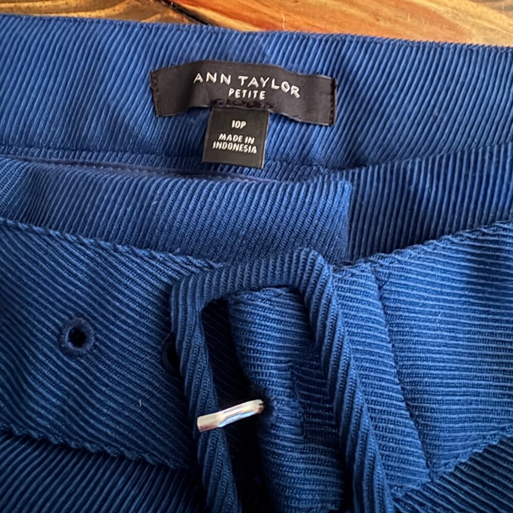 Ann Taylor Blue Belted Pants  10P